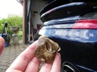 car wash gallery image 5